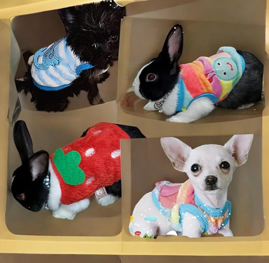 Abrigo Perros Miniatura para Chihuahua